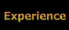 Experience